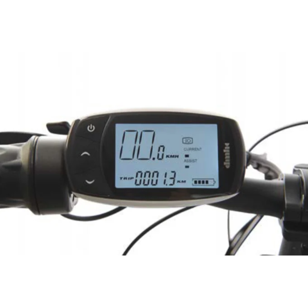 Wisper Tailwind 806 Standard And Encore 20" - Image 3